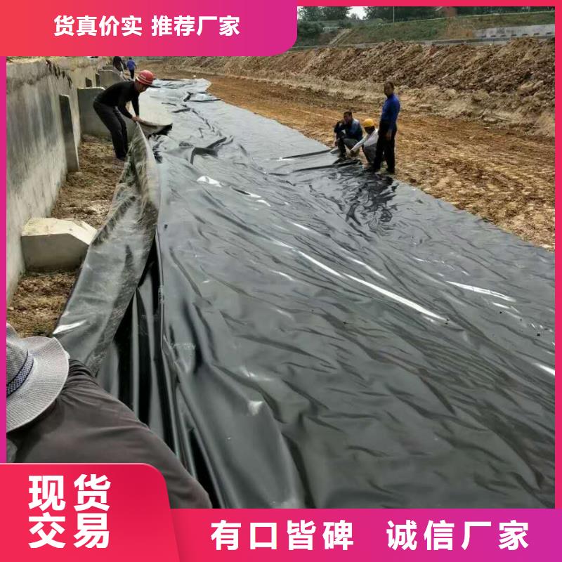 土工膜涤纶土工格栅供货及时