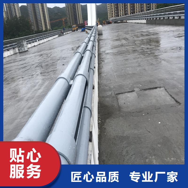桥梁护栏【M型防撞护栏】源头厂家来图定制