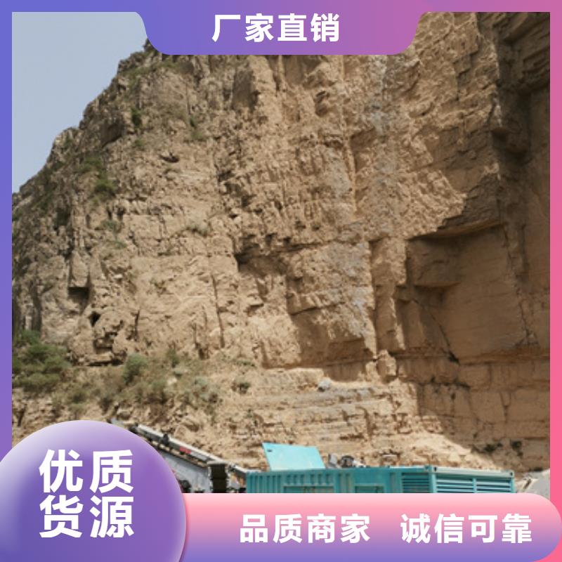 柴油发电机出租口碑好含运费含税提供电缆