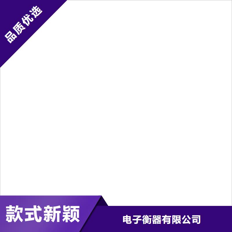 【地磅小地磅品牌企业】