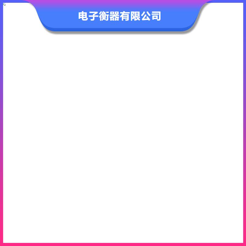 电子皮带秤【电子汽车衡】精心