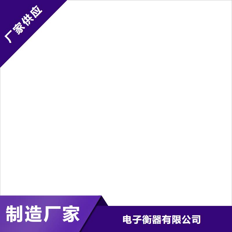 电子皮带秤_称重系统库存量大