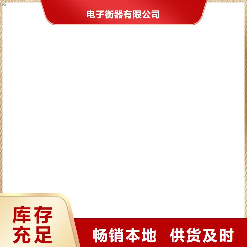 【电子皮带秤_电子地磅当地厂家值得信赖】