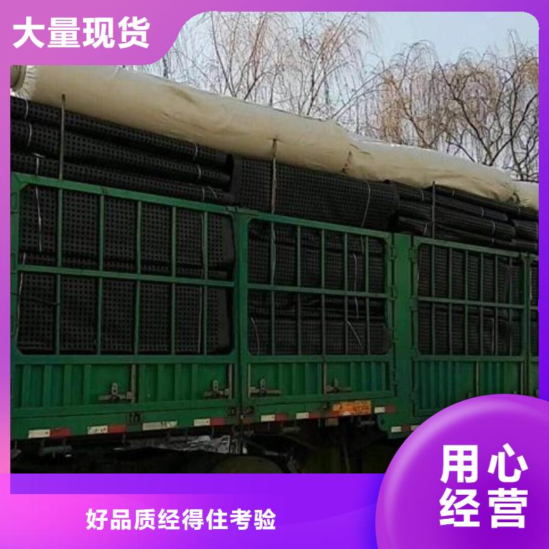 钢塑土工格栅【塑料盲沟】实体厂家支持定制