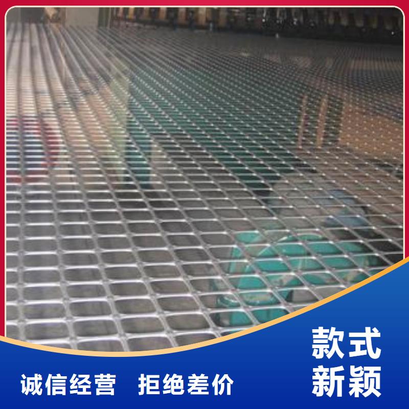 双向塑料土工格栅,三维土工网垫品质保障价格合理