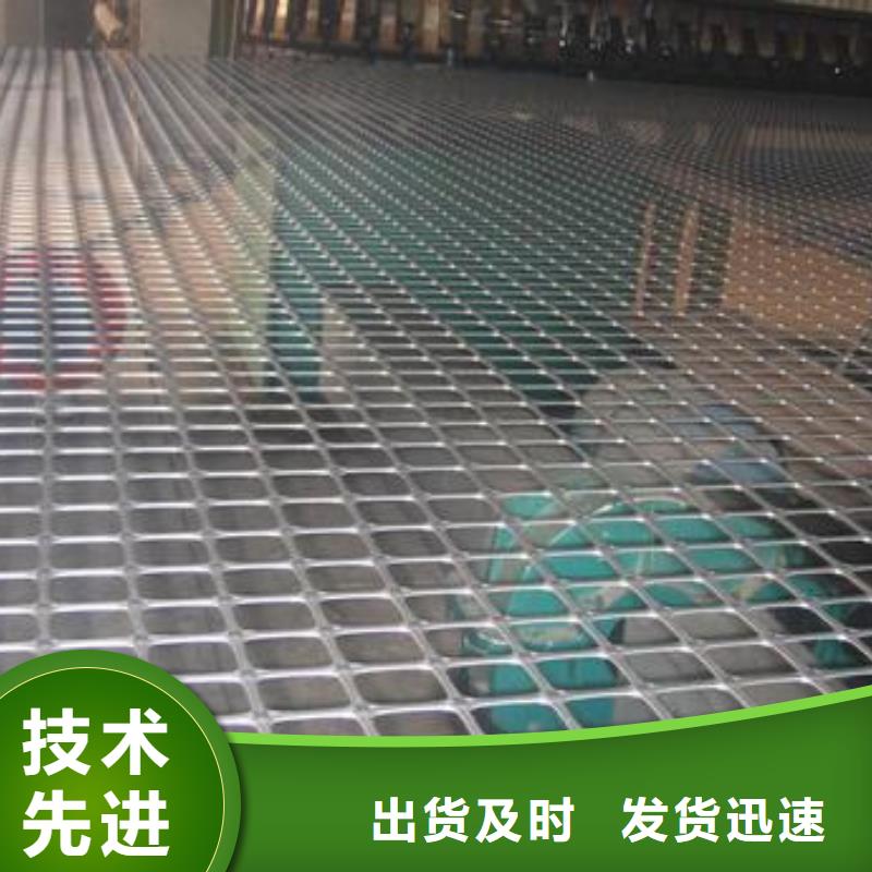 双向塑料土工格栅【单向塑料土工格栅】支持定制