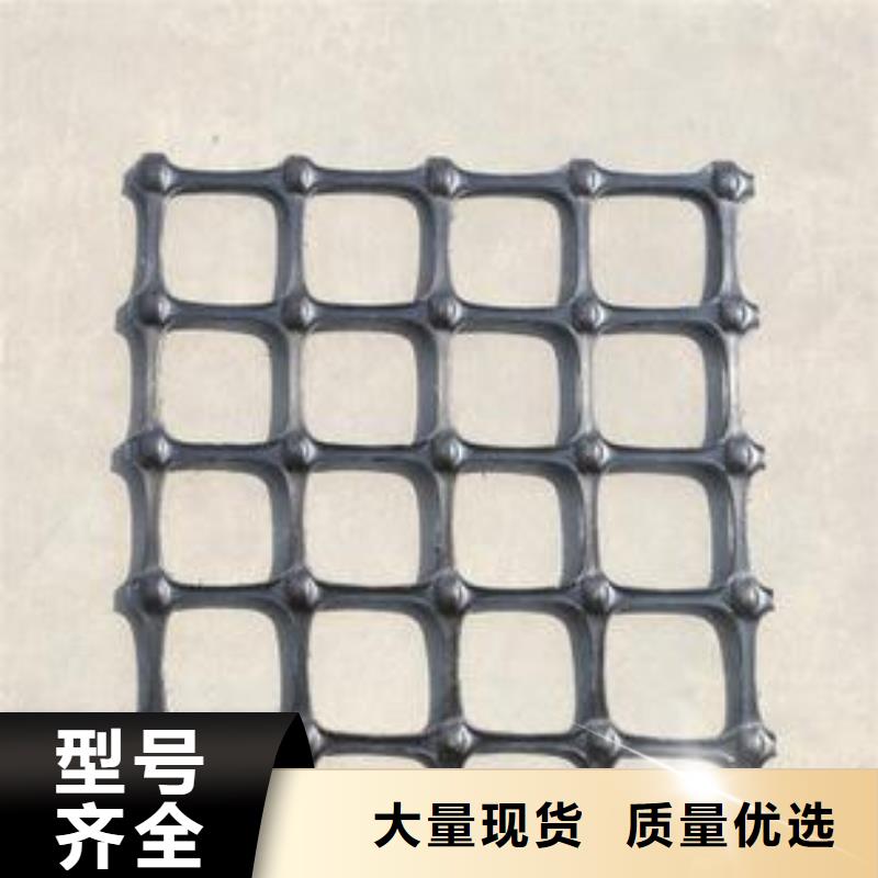 双向塑料土工格栅三维植被网实力雄厚品质保障