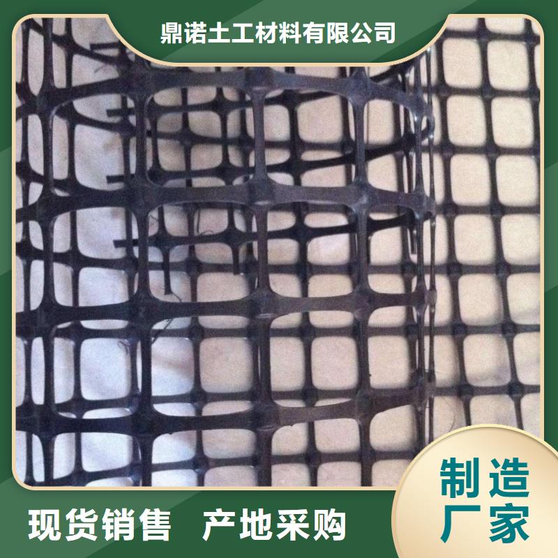 双向塑料土工格栅三维植被网实力雄厚品质保障