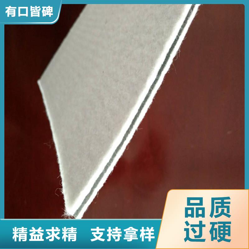 土工膜双向拉伸土工格栅欢迎来电询价