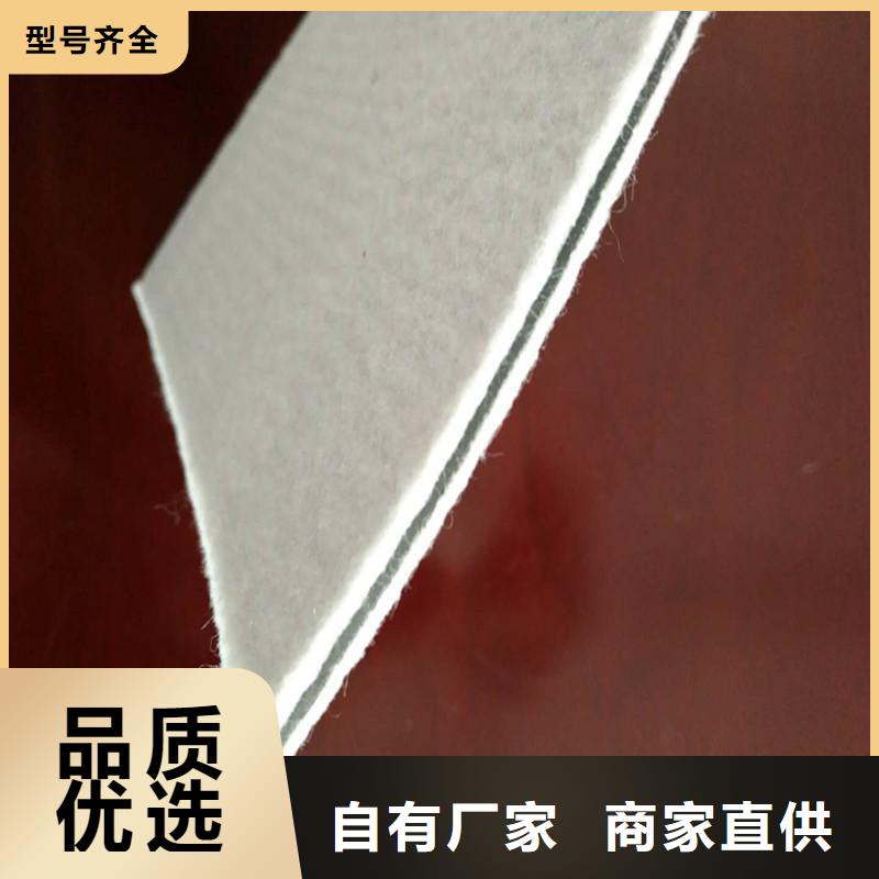 土工膜三维复合排水网可定制