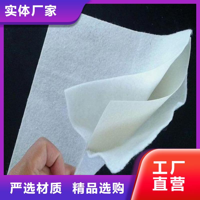 土工膜土工布批发商