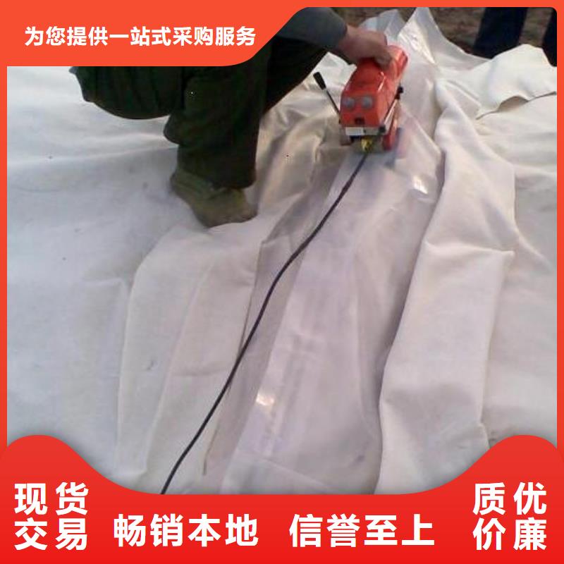 土工膜三维土工网垫现货齐全售后无忧