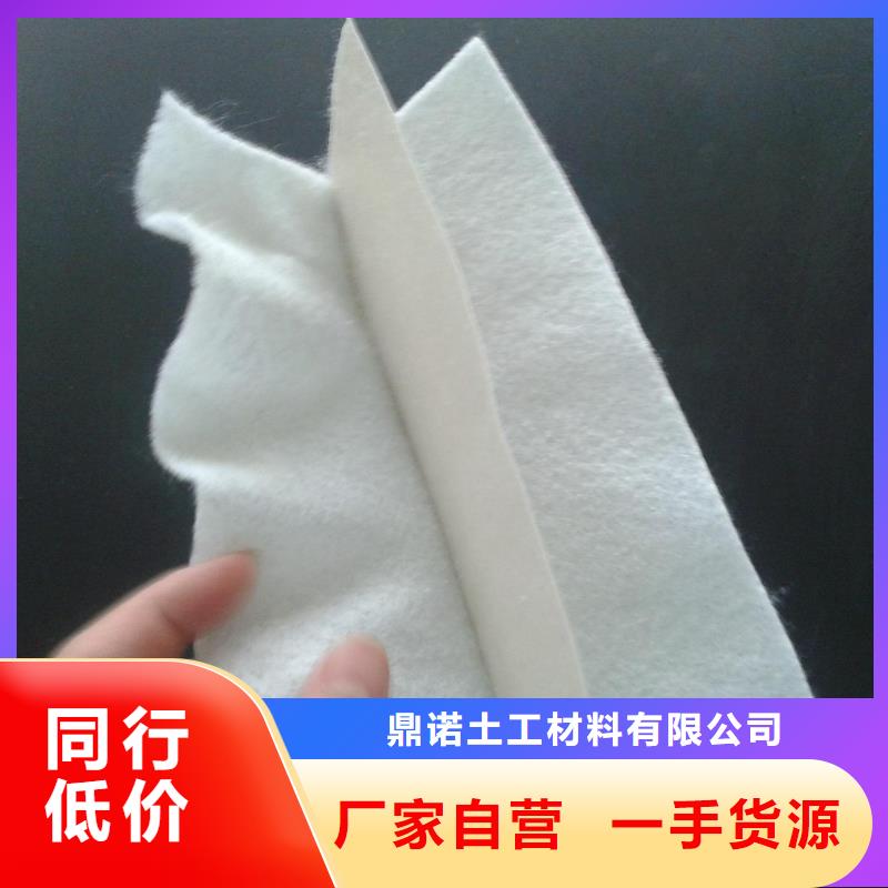 土工膜双向塑料土工格栅出货及时