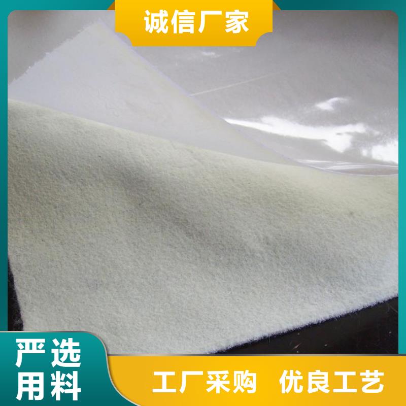 土工膜PP焊接土工格栅可定制