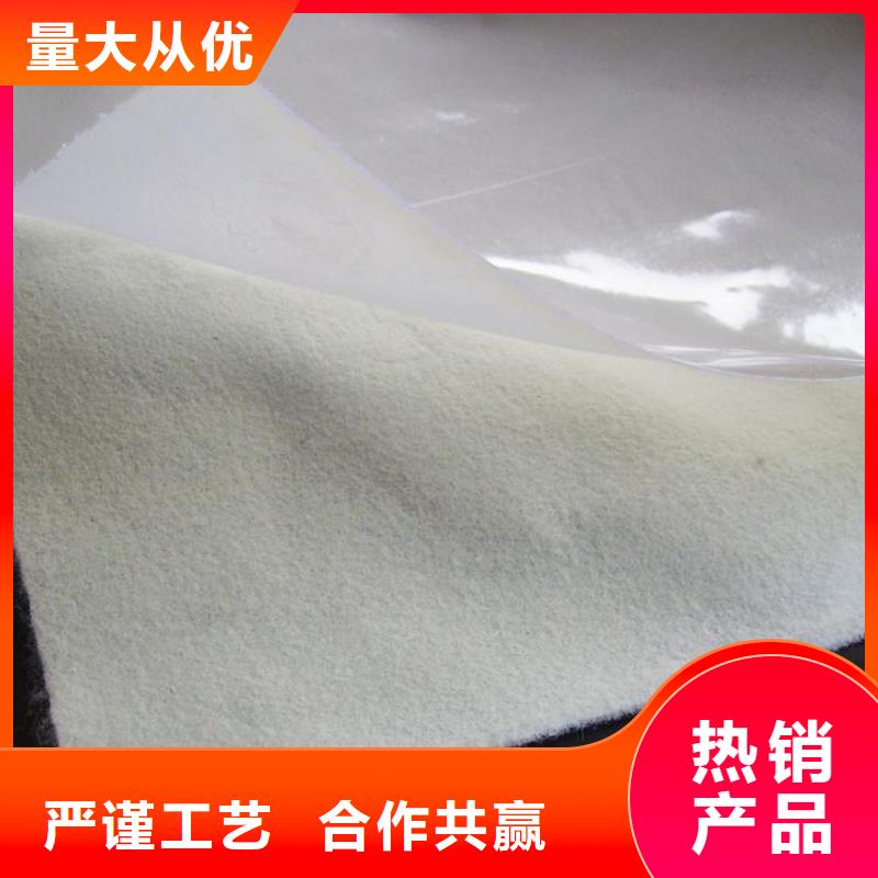 土工膜涤纶土工格栅细节决定成败