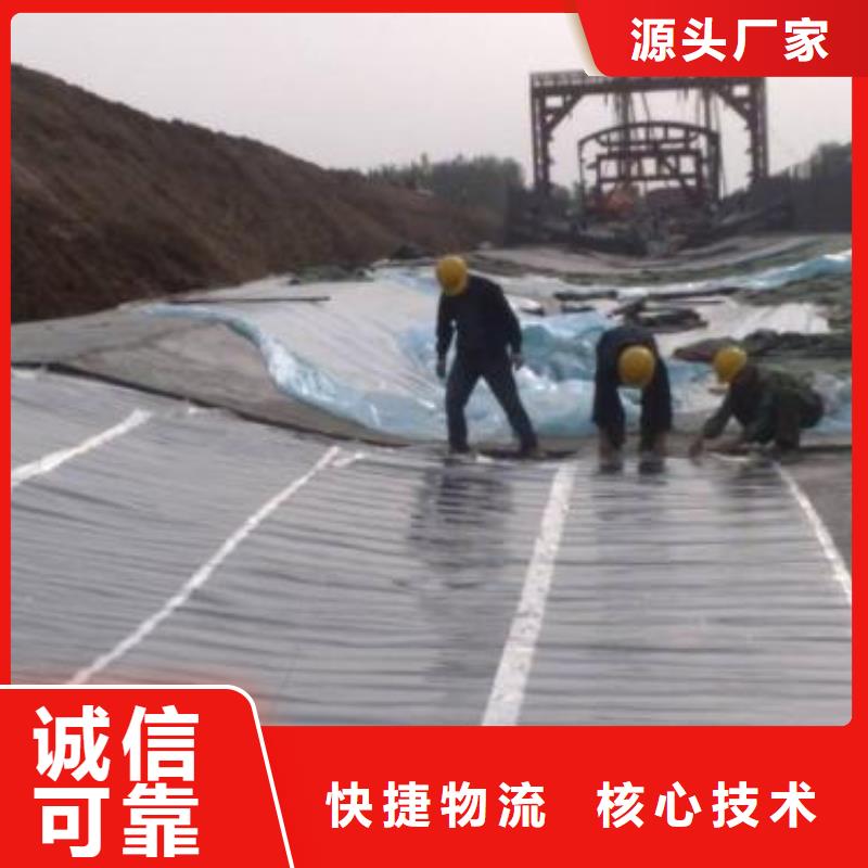 土工膜-护坡土工网订购