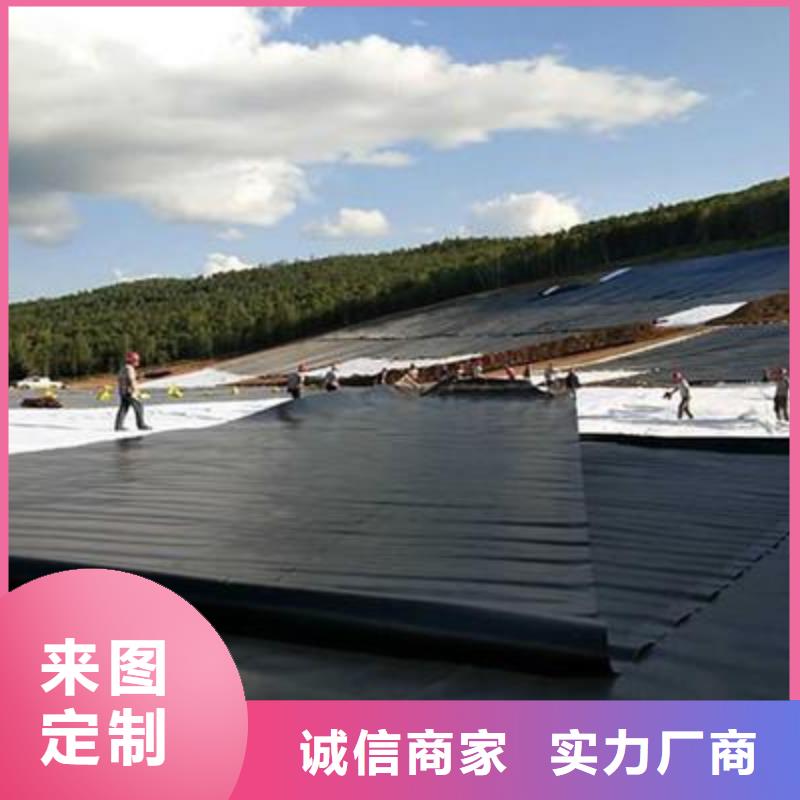 土工膜-护坡土工网订购
