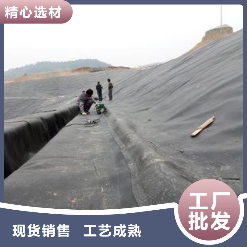 土工膜护坡土工网优选原材