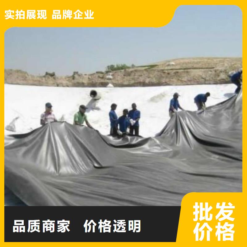 土工膜_钢塑土工格栅源头工厂量大优惠