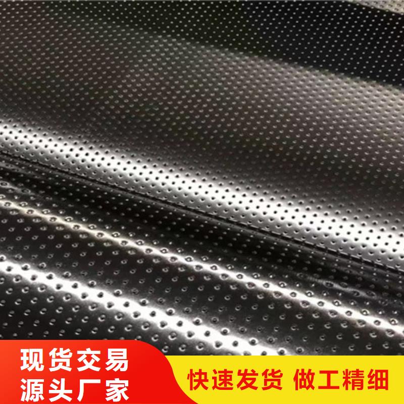 土工膜三维复合排水网产地厂家直销