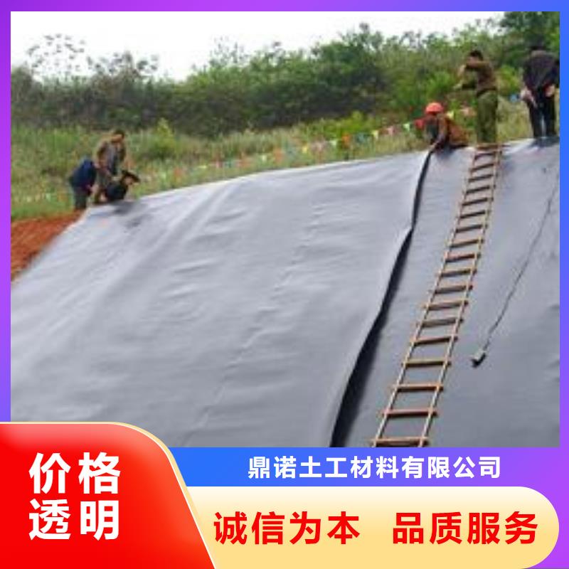 土工膜三维土工网垫现货齐全售后无忧