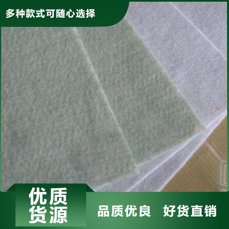 土工布PP焊接土工格栅专注产品质量与服务