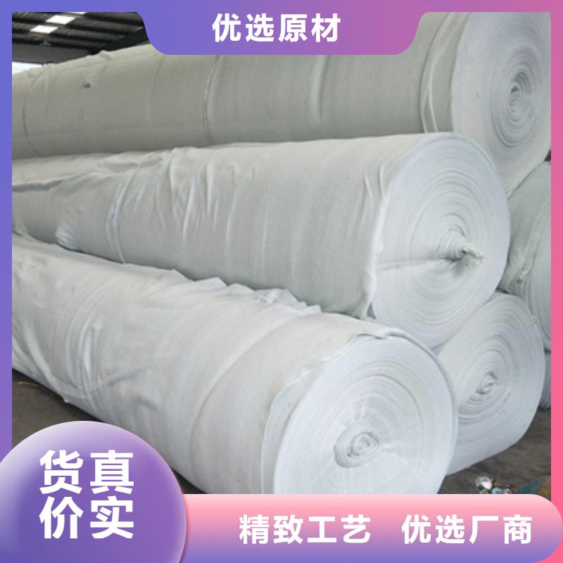 土工布钢塑土工格栅多年厂家可靠