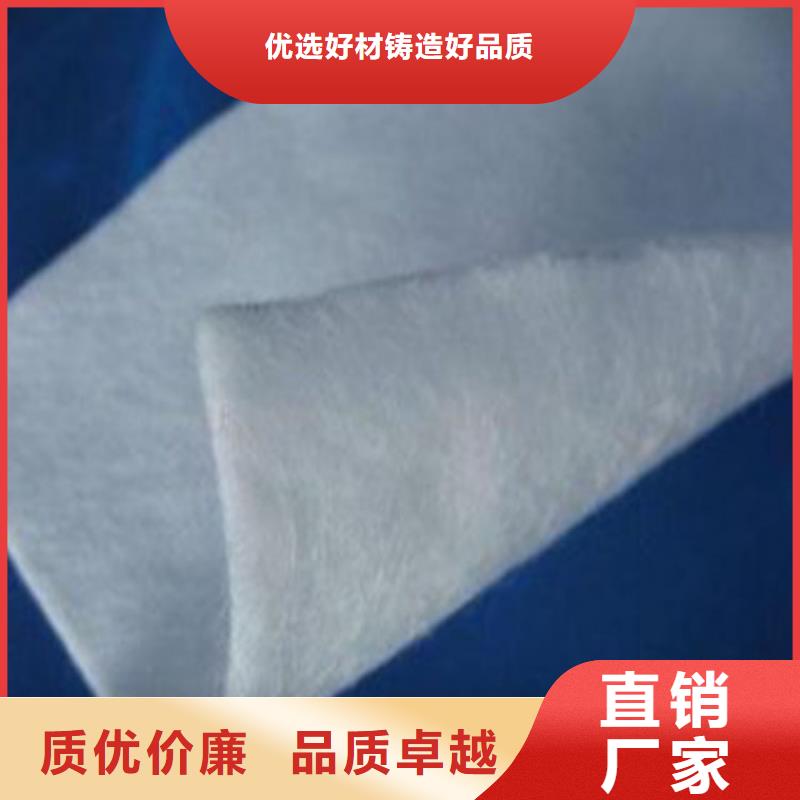 【土工布凸结点钢塑土工格栅实力商家供货稳定】