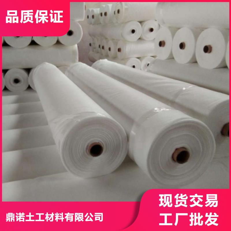 土工布双向拉伸土工格栅专业生产厂家