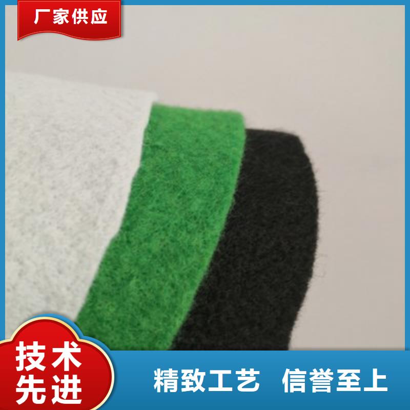 土工布膨润土防水毯厂家工艺先进