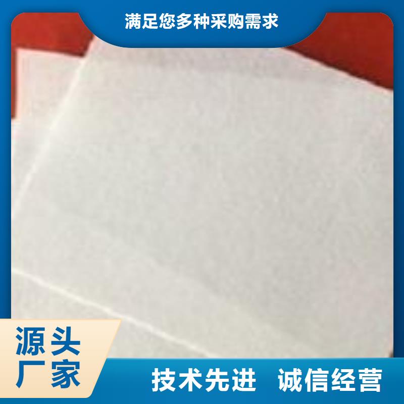 土工布【单向塑料土工格栅】厂家供应