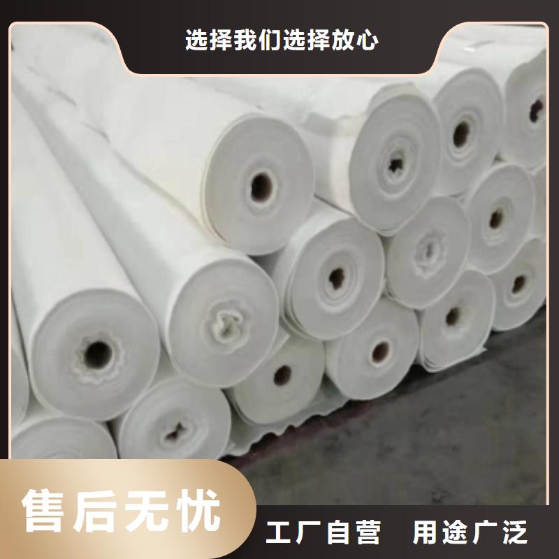土工布长丝土工布厂家型号齐全