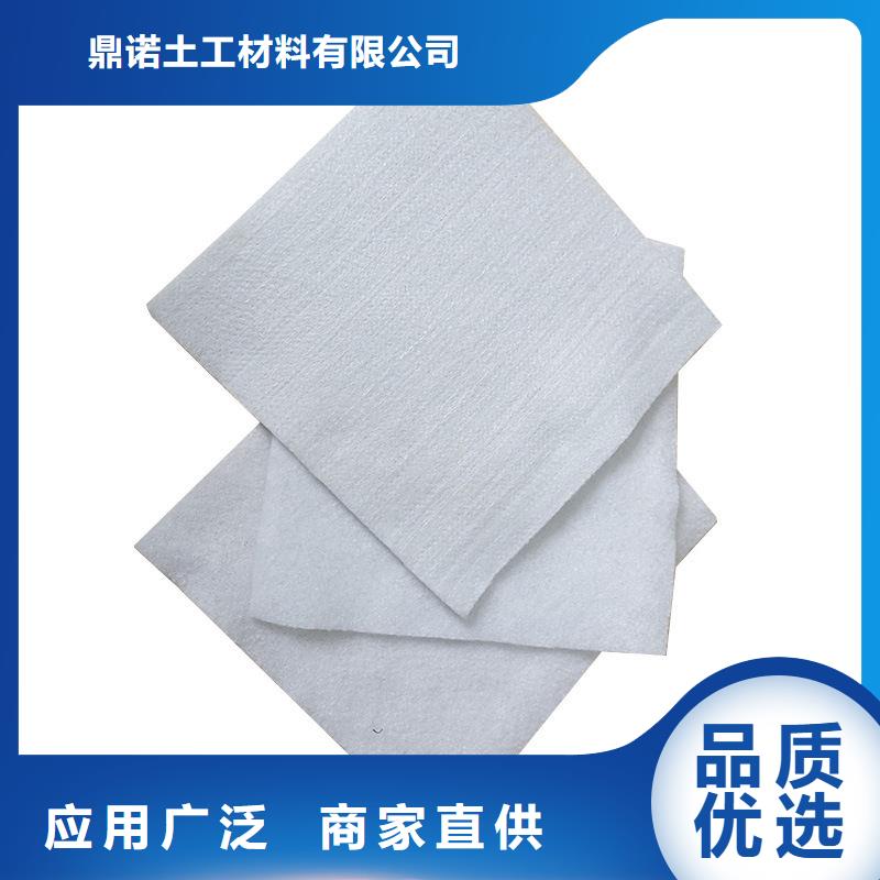 土工布双向拉伸土工格栅专业生产厂家