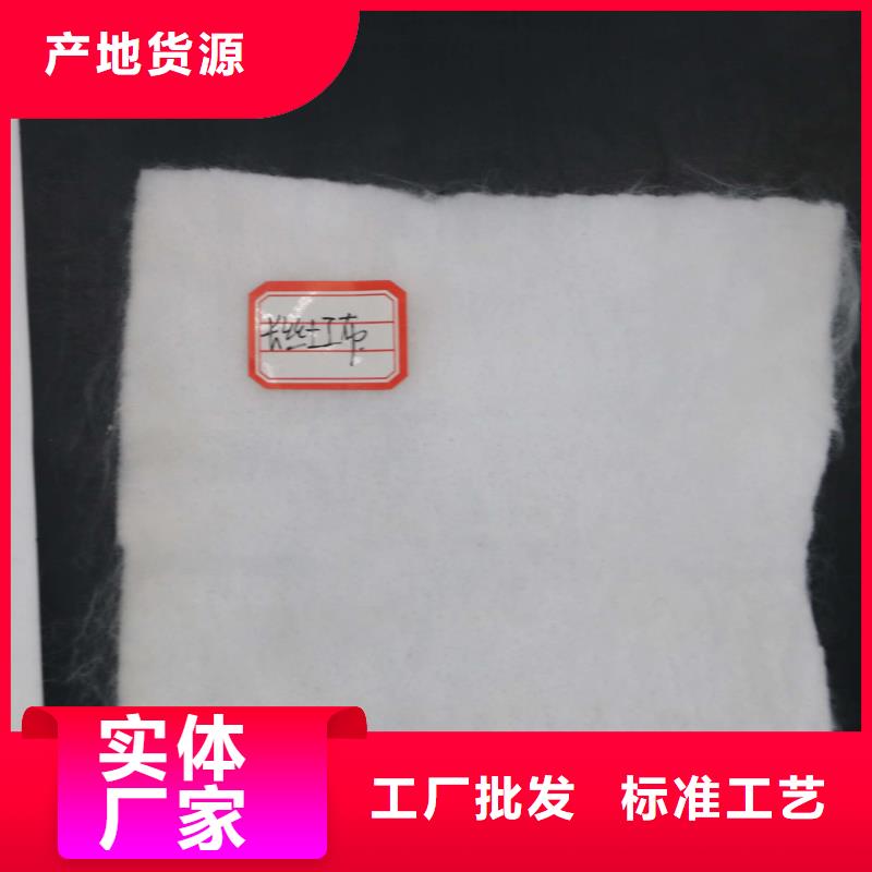 土工布三维复合排水网本地厂家值得信赖