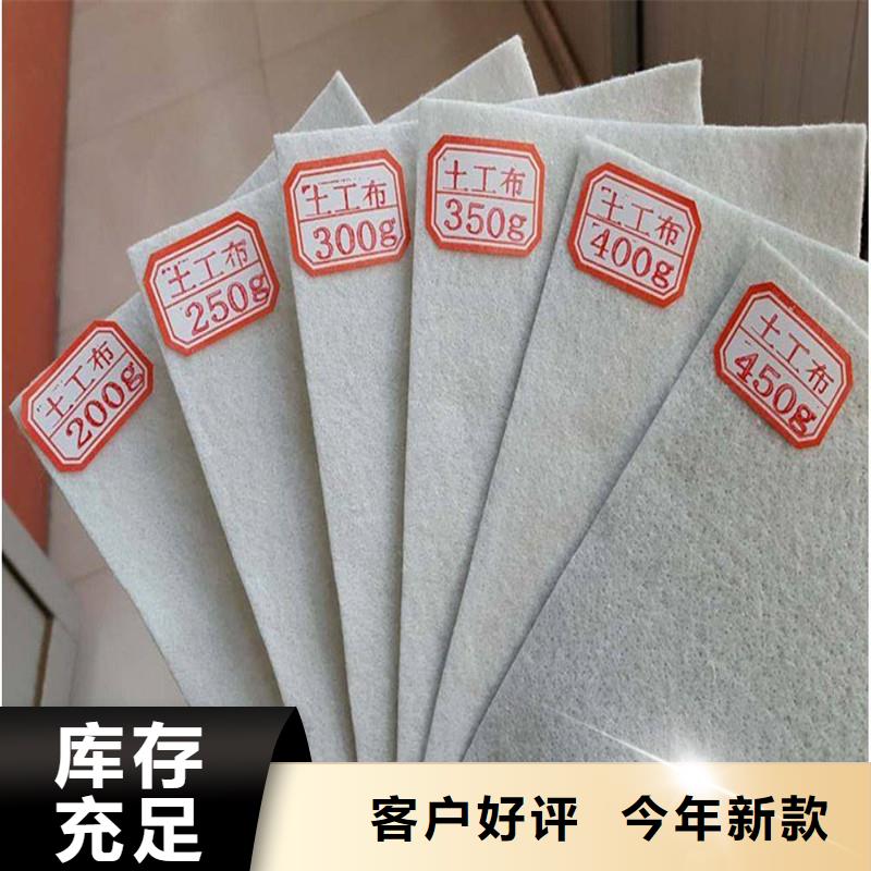 土工布涤纶土工格栅生产厂家