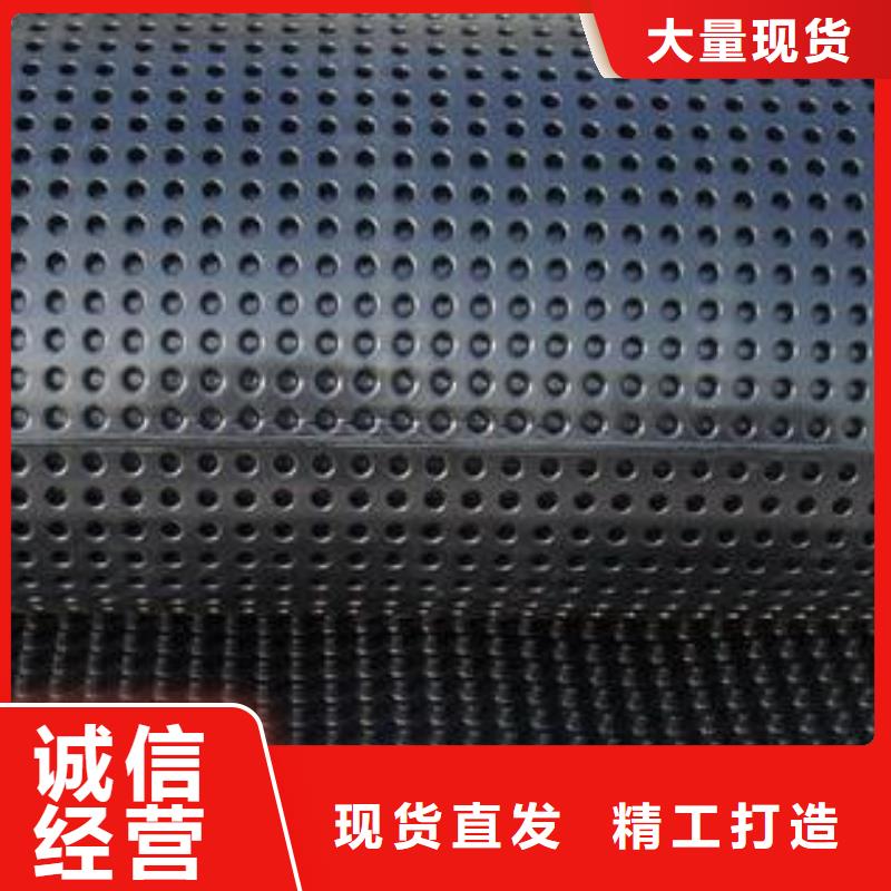 蓄排水板-单向塑料土工格栅精品选购