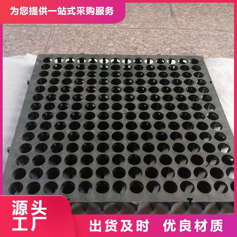 【蓄排水板】土工席垫支持定制加工