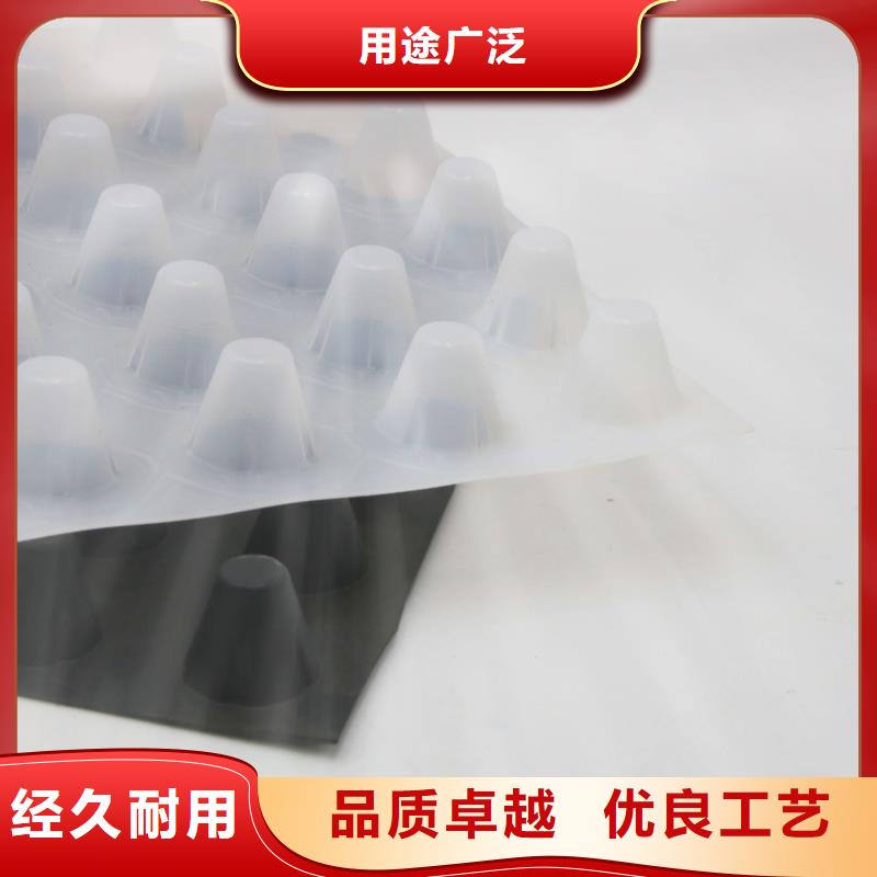 蓄排水板水土保护毯厂家新品