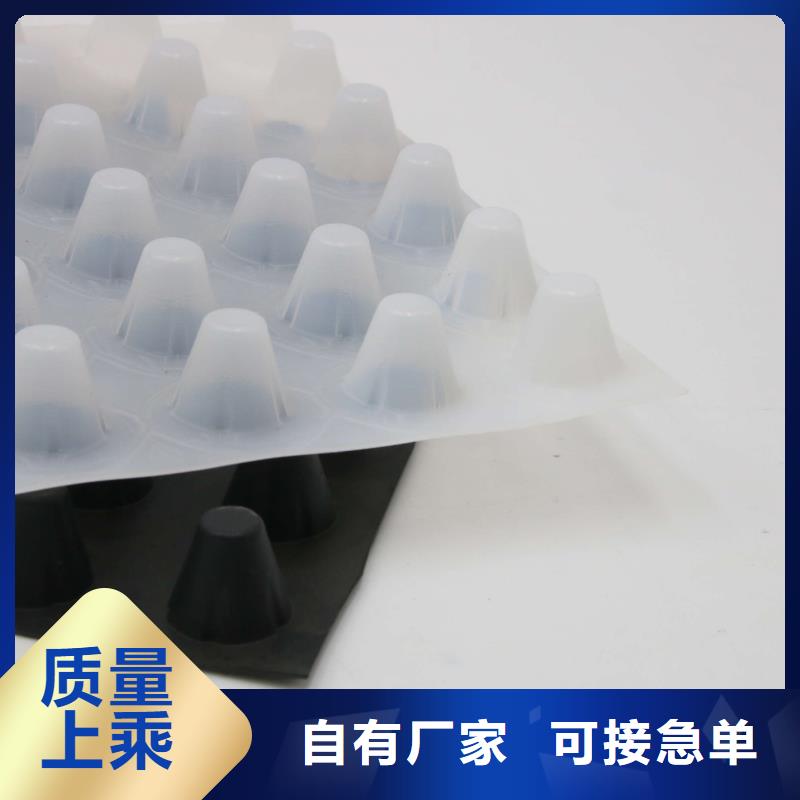 蓄排水板-双向塑料土工格栅买的是放心