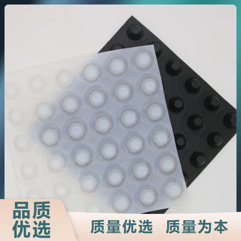 蓄排水板单向塑料土工格栅货源报价