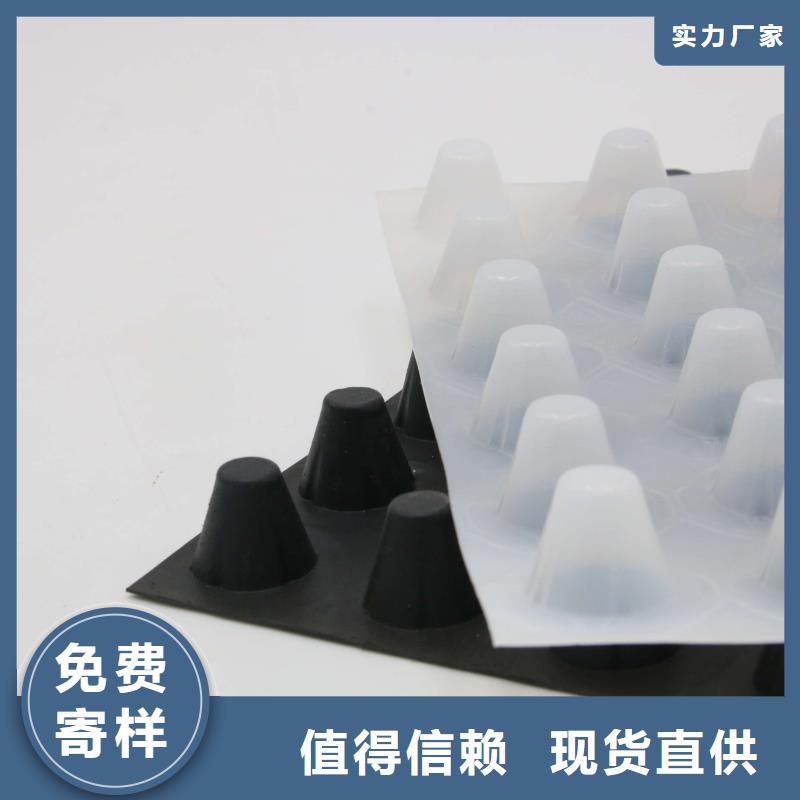蓄排水板三维复合排水网您身边的厂家