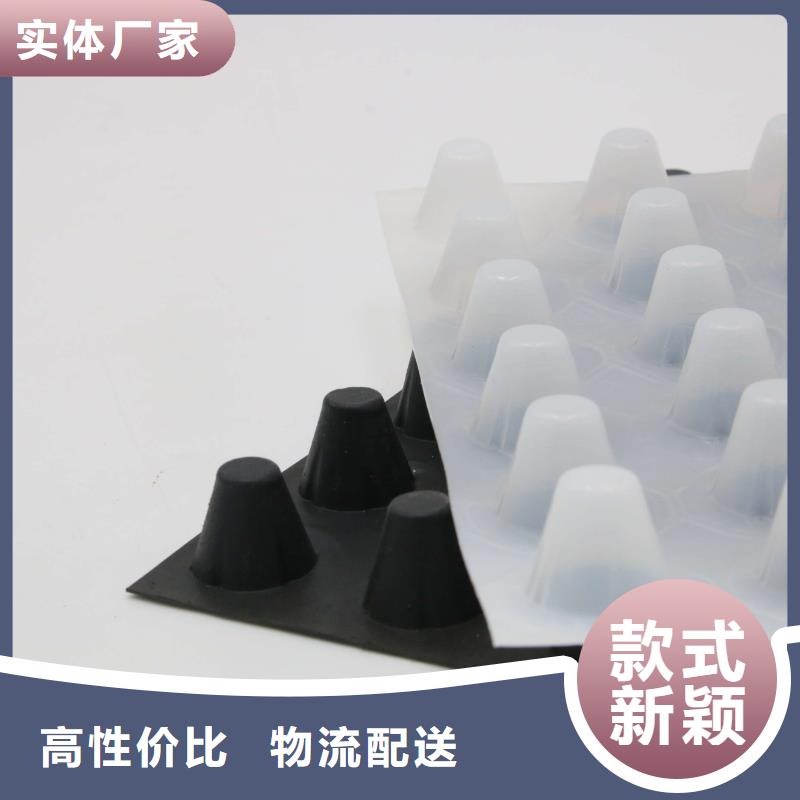 蓄排水板-【钢塑土工格栅】自有厂家