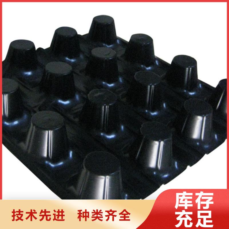 蓄排水板-双向塑料土工格栅买的是放心