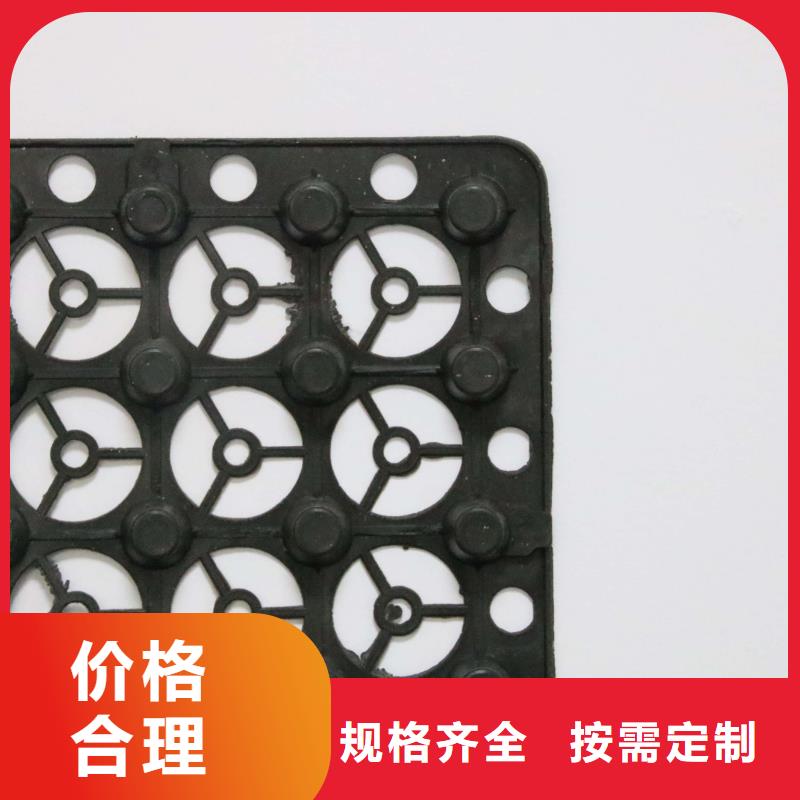 蓄排水板玻纤格栅制造生产销售