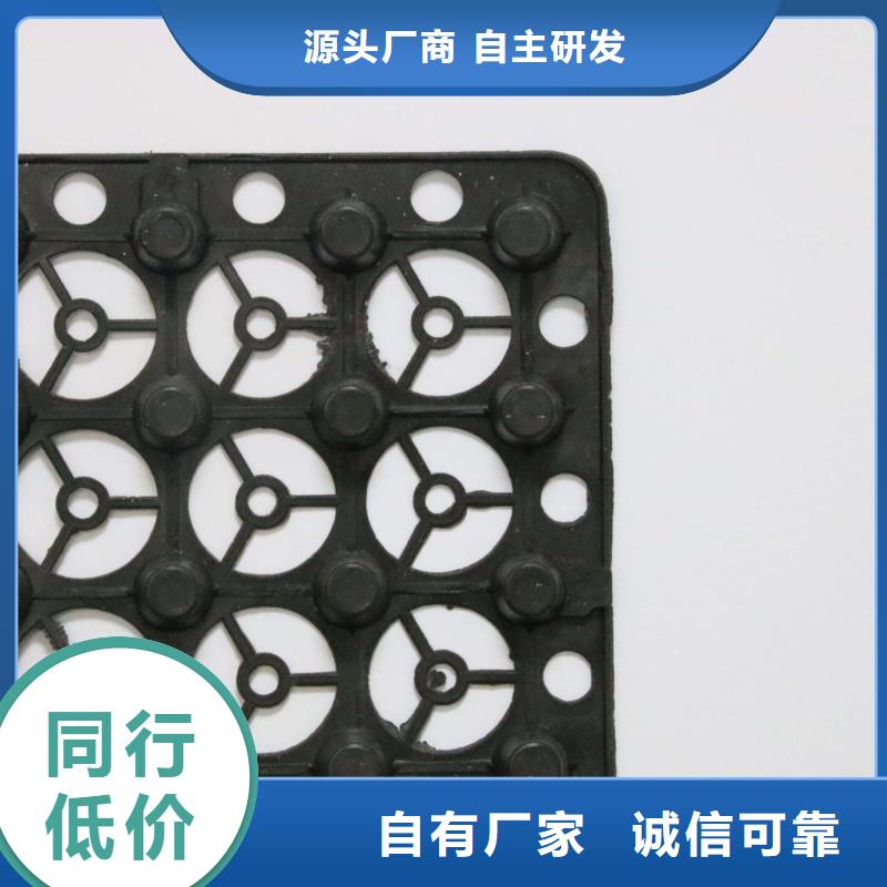 蓄排水板膨润土防水毯符合标准