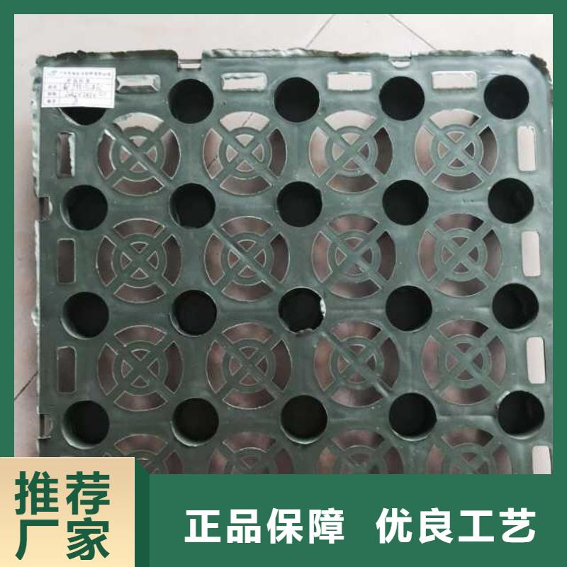【蓄排水板-单向塑料土工格栅闪电发货】