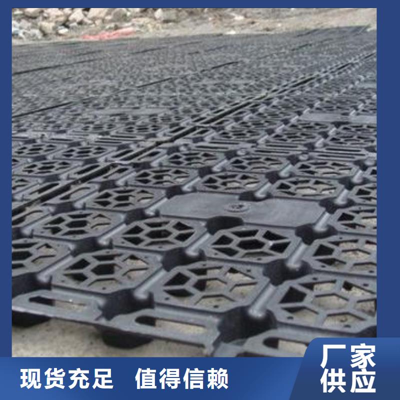 【蓄排水板-单向塑料土工格栅闪电发货】
