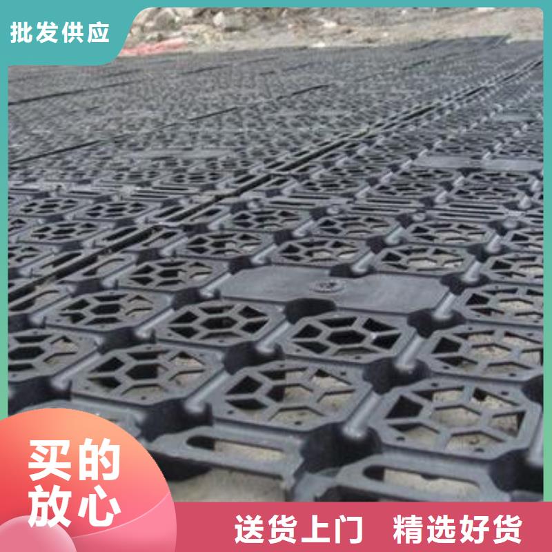 蓄排水板_单向塑料土工格栅工艺精细质保长久