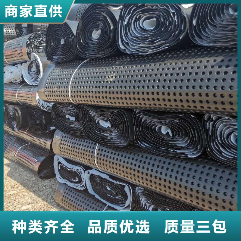 蓄排水板钢塑土工格栅讲信誉保质量
