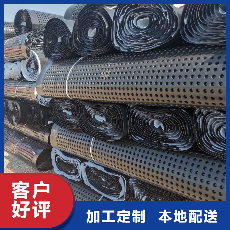 蓄排水板三维复合排水网您身边的厂家